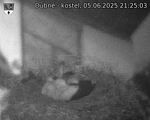 Capi_Dubne_20250605_212503.jpg