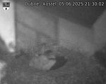 Capi_Dubne_20250605_213002.jpg