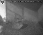 Capi_Dubne_20250605_213502.jpg