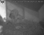 Capi_Dubne_20250605_214003.jpg