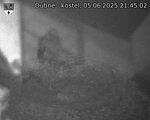 Capi_Dubne_20250605_214502.jpg