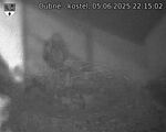 Capi_Dubne_20250605_221502.jpg