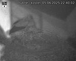 Capi_Dubne_20250605_224002.jpg