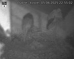 Capi_Dubne_20250605_225502.jpg