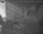 Capi_Dubne_20250605_230002.jpg