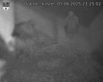 Capi_Dubne_20250605_232502.jpg