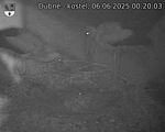 Capi_Dubne_20250606_002003.jpg