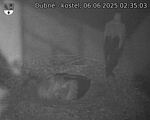 Capi_Dubne_20250606_023503.jpg