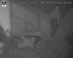 Capi_Dubne_20250606_024002.jpg