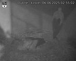 Capi_Dubne_20250606_025502.jpg