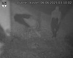 Capi_Dubne_20250606_031002.jpg