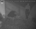 Capi_Dubne_20250606_031503.jpg