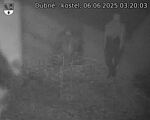 Capi_Dubne_20250606_032003.jpg