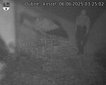 Capi_Dubne_20250606_032502.jpg