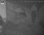 Capi_Dubne_20250606_033003.jpg