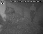 Capi_Dubne_20250606_034003.jpg