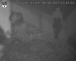 Capi_Dubne_20250606_034502.jpg