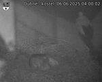 Capi_Dubne_20250606_040002.jpg
