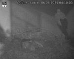Capi_Dubne_20250606_041003.jpg