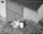 Capi_Dubne_20250606_043503.jpg