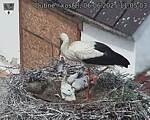 Capi_Dubne_20250606_110503.jpg