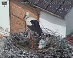 Capi_Dubne_20250606_121502.jpg