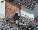 Capi_Dubne_20250606_125503.jpg