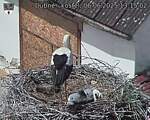 Capi_Dubne_20250606_131502.jpg