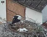 Capi_Dubne_20250606_135002.jpg