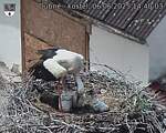 Capi_Dubne_20250606_144003.jpg