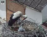 Capi_Dubne_20250606_145502.jpg