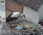 Capi_Dubne_20250606_150003.jpg