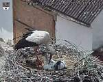 Capi_Dubne_20250606_150503.jpg