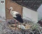 Capi_Dubne_20250606_171002.jpg