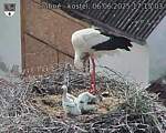 Capi_Dubne_20250606_171503.jpg