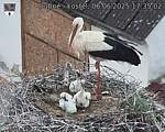 Capi_Dubne_20250606_173502.jpg