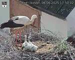 Capi_Dubne_20250606_175002.jpg