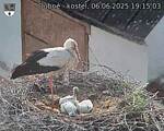 Capi_Dubne_20250606_191503.jpg