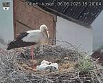Capi_Dubne_20250606_192004.jpg