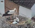 Capi_Dubne_20250606_193003.jpg
