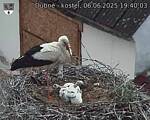 Capi_Dubne_20250606_194003.jpg