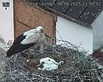 Capi_Dubne_20250606_210002.jpg