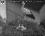 Capi_Dubne_20250606_212002.jpg