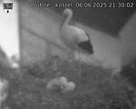Capi_Dubne_20250606_213002.jpg