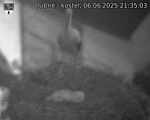 Capi_Dubne_20250606_213503.jpg