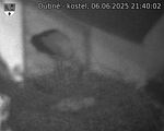 Capi_Dubne_20250606_214002.jpg