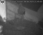 Capi_Dubne_20250606_214503.jpg