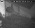 Capi_Dubne_20250606_215003.jpg