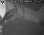 Capi_Dubne_20250606_215502.jpg