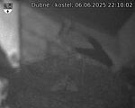 Capi_Dubne_20250606_221002.jpg